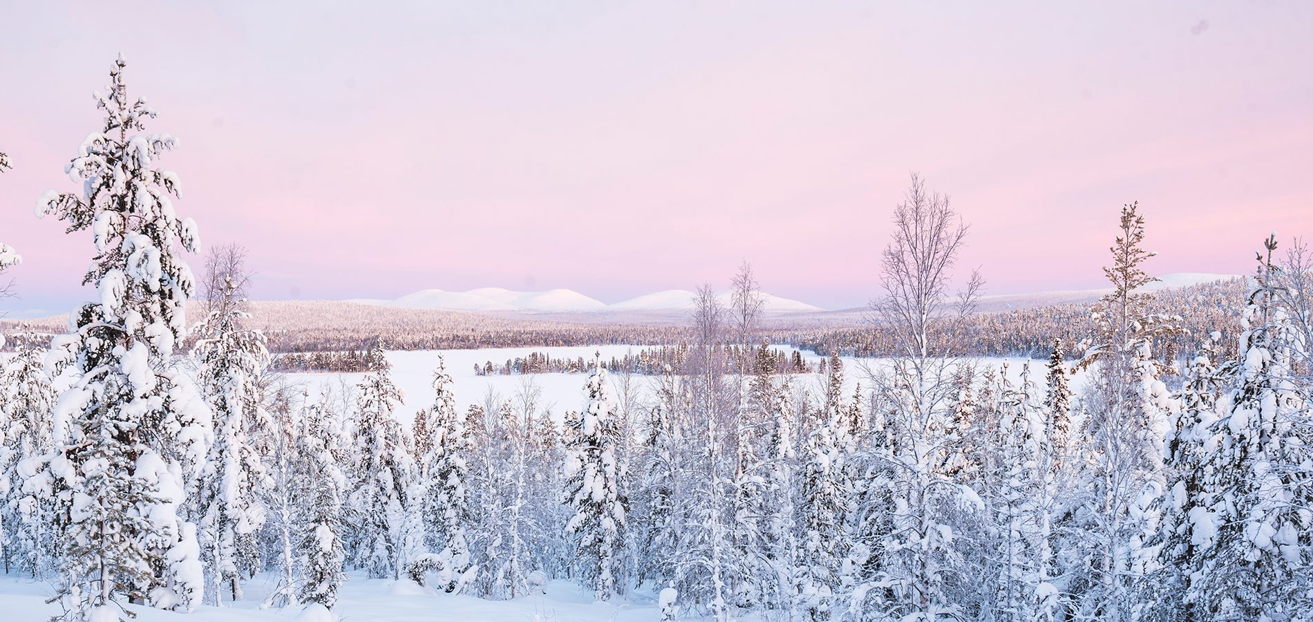Magic of Lapland | Husky Safari Break | Experience the Magic of Lapland